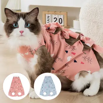 Alternate костюм за кастрация на котки с E-образно яка, костюм за стерилизация котки, костюм за кастрация, след хирургична рана на корема