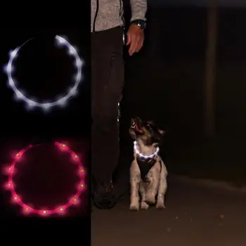 Акумулаторна Светещи Нашийници За Кучета Светят В Тъмното Регулируема Вырезаемое Със Собствените Си Ръце Led Колие За Кучета, Което Може Да Се Види По Време На Разходки С Вашите Кучета